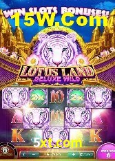 Experiência VIP 5xt.com